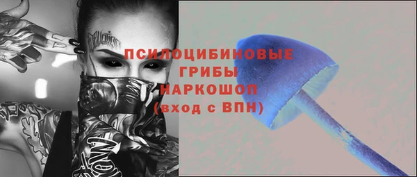 молекула духа Михайловка