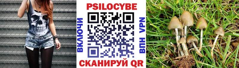 Псилоцибиновые грибы Psilocybine cubensis Купить Шахты