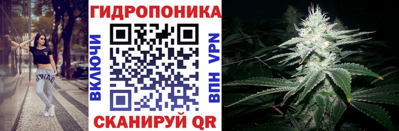 Купить закладки  Шахты  Конопля Ganja 
